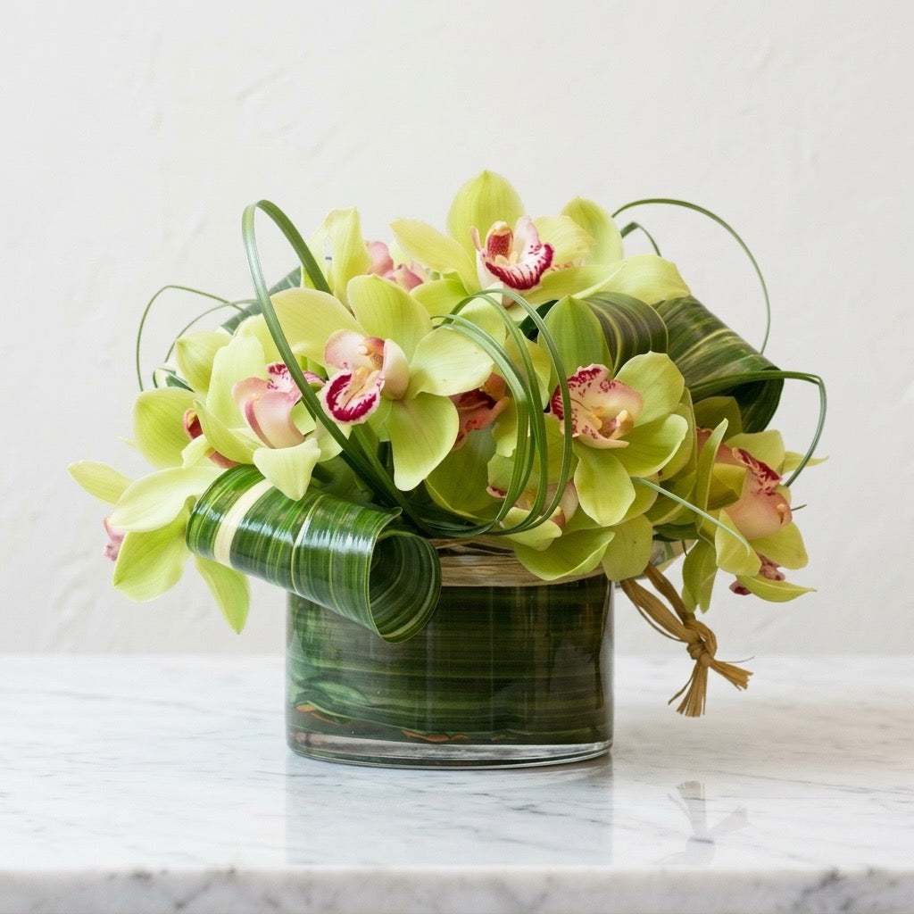 Modern Green Cymbidium Orchid Arrangement